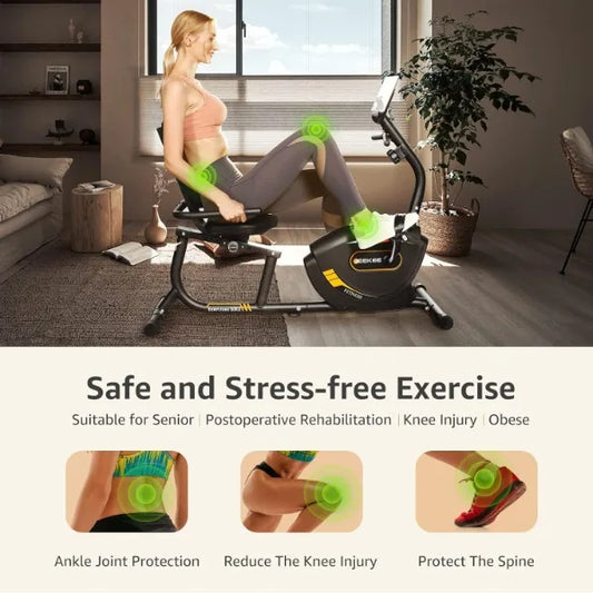 Recumbent Exercise Bike Magnetic Indoor Cycling Fitness Equipment Home Workout
