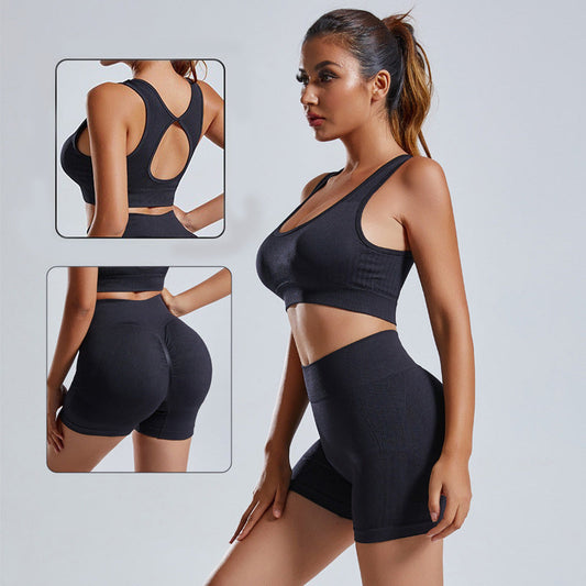 2 Piece Women's Seamless Yoga Set