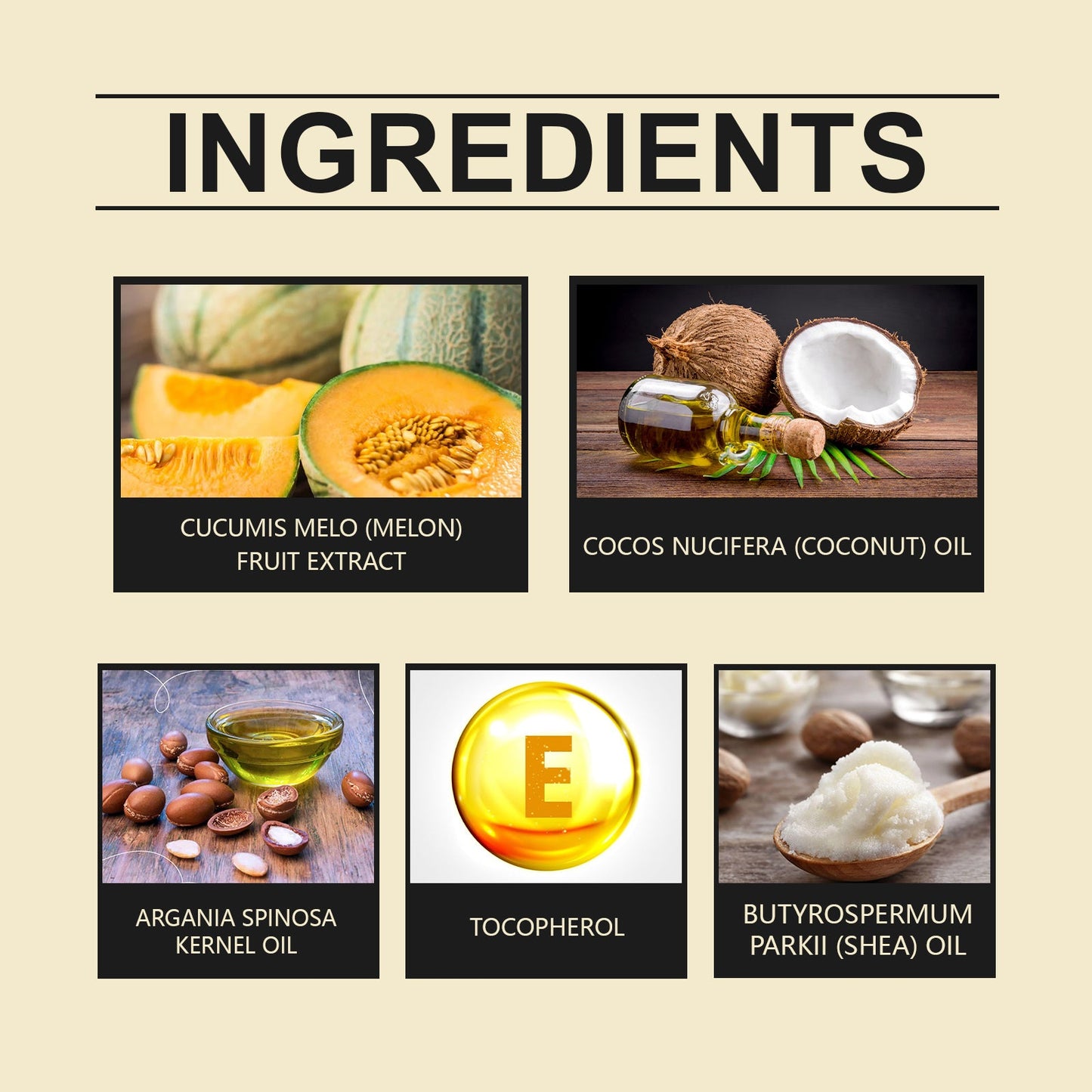 Cantaloupe Moisturizing Skin Care Cream
