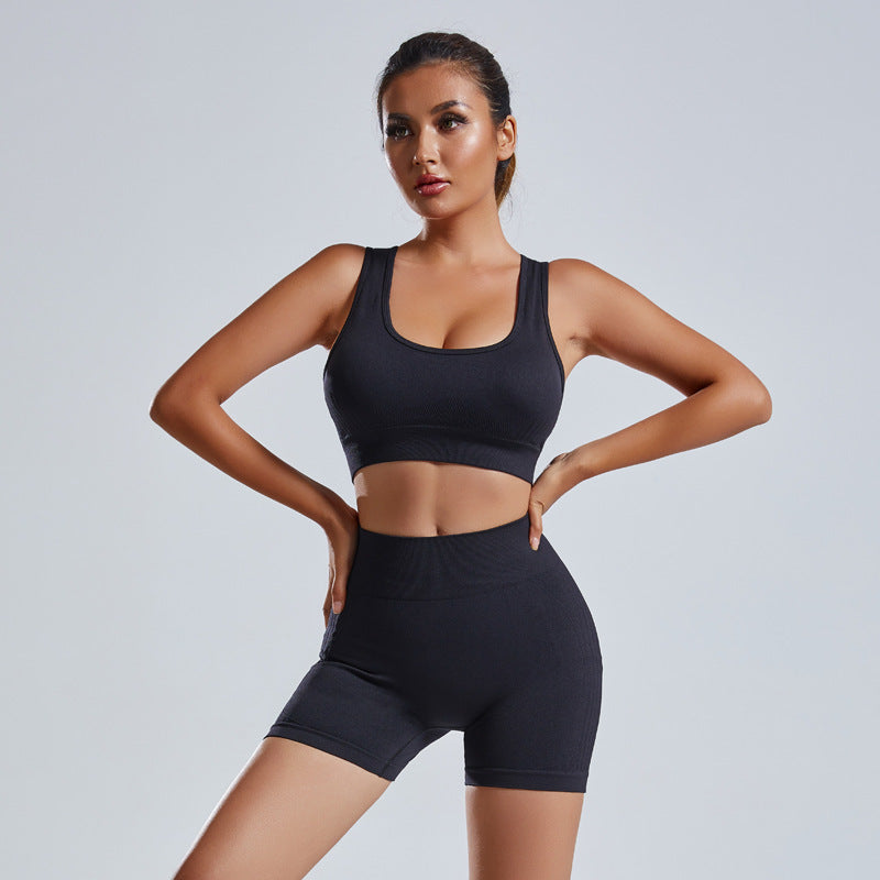 2 Piece Women's Seamless Yoga Set